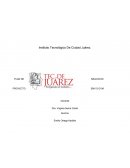 PLAN DE NEGOCIOS PROYECTO EMY’S GYM