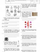 EVALUACIÓN DE DESARROLLO DE CIENCIAS NATURALES