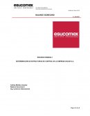 DETERMINACIÓN DE ESTRUCTURAS DE CONTROL EN LA EMPRESA DACAR S.A