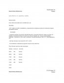 Inf puente navideño