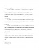 Crear ventaja y proporcionar las herramientas tecnológicas a medida de las necesidades educativas.