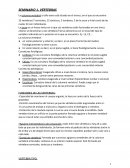 SEMINARIO 1. VÉRTEBRAS