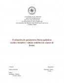 Evaluación de parámetros físicos-químicos (acidez titulable y sólidos solubles) de zumos de frutas