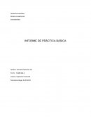 INFORME DE PRÁCTICA BÁSICA