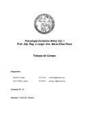 Psicología Evolutiva Niñez Cat. I