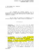 ORDINARIO CIVIL PERDIDA DE PATRIA POTESTAD