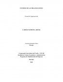 ANALISIS DEL ENTORNO GLOBAL DE LAS ORGANIZACIONES