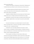 Placa de circuito impreso (PCB)