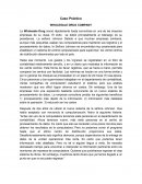 Caso Práctico WHOLESALE DRUG COMPANY