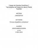Errores ortográficos y sintácticos