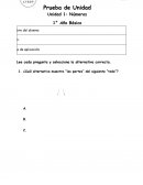 Prueba de Unidad de Números