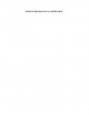 La Responsabilidad Social Empresarial.