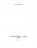 Trabajo de futbol sala