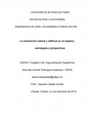 Iluminacion Departamento de Letras, Humanidades e Historia del Arte