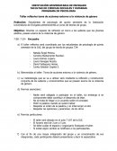 PROGRAMA DE PSICOLOGIA Taller reflexivo toma de acciones entorno a la violencia de género