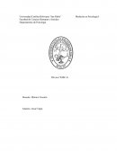 Wisc Facultad de Ciencias Humanas y Sociales