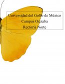 LA HISTORIA NEGRA DE LAS AGUAS NEGRAS