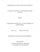 Comentario analítico de "La Mano Sensible" de Martín Cristal