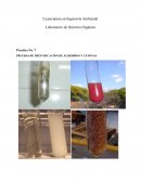 PRUEBAS DE IDENTIFICACIÓN DE ALDEHÍDOS Y CETONAS