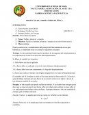 PROYECTO DE LABORATORIO DE FÍSICA
