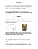 Fibonacci INTRODUCCION