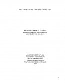 Desarrollo de las Ladrilleras