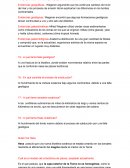 Cuales son Cuestionario dinamismo de la tierra