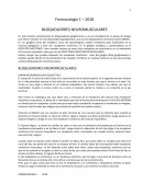 CUALES SON LOS BLOQUEADORES NEUROMUSCULARES