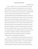 Cuales son las Cadenas de Valor Colaborativa