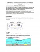 ESTUDIO DE LA CORROSION DEL ACERO EN DIFERENTES MEDIOS