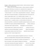 Trabajo de historia, el régimen legal de castas