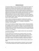 La ciencia social es una de muchas maneras de considerar la vida y la experiencia