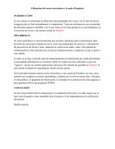 Utilización del correo electrónico y la nube (Dropbox)