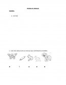 PRUEBA DE LENGUAJE - DICTADO