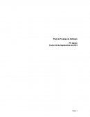 Rache Plan de Pruebas de Software