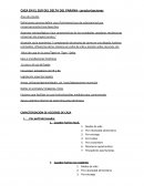 CAZA EN EL SUR DEL DELTA DEL PARANA