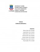 Desarrollo Empresarial- resumen