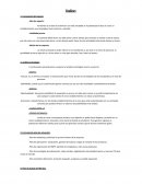 Indice Willy's Fit&Study