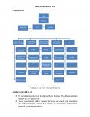 CUALES SON LOS EJEMPLOS NORMAS DE CONTROL INTERNO