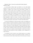 Como es que se da el nuevo Diagnostico de contexto interno y externo