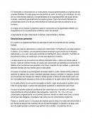 Violoncello. Historia