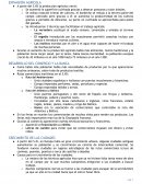 Como se da el nuevo Final de la Edad Media, el auge de las ciudades