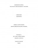 LABORATORIO GRAVIMETRIA