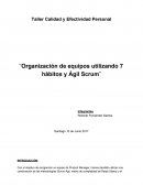 Taller Calidad y Efectividad Personal ¨Organización de equipos utilizando 7 hábitos y Ágil Scrum¨