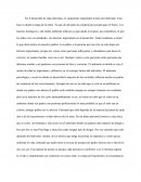 Desarrollo del ser humano