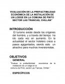 EVALUACIÓN DE LA PREFACTIBILIDAD ECONÓMICA DE LA INSTALACIÓN DE UN LODGE EN LA COMUNA DE PINTO. .