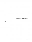 Conclusiones Referencias Glosario Anexos