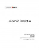 Propiedad intelectual RESEÑA