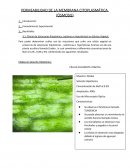INFORME BIOLOGIA HIPOTINICO , ISOTONICO , HIPERTONICO Procedimiento Experimental