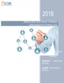 EL NUEVOI ANALISIS ESTRUCTURA ORGANIZACIONAL